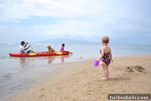 Maui with a Toddler: Practical Tips for a Smooth Family Trip 18 img 45139 19