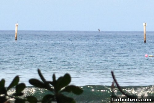 Maui with a Toddler: Practical Tips for a Smooth Family Trip 23 img 45139 25