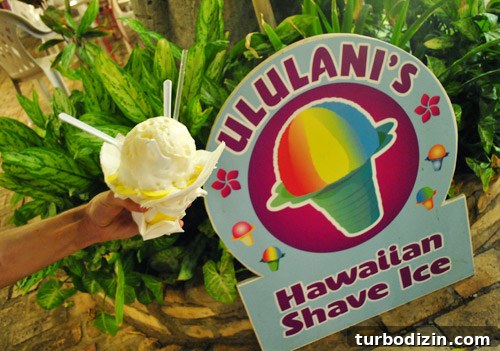 Maui with a Toddler: Practical Tips for a Smooth Family Trip 24 img 45139 27