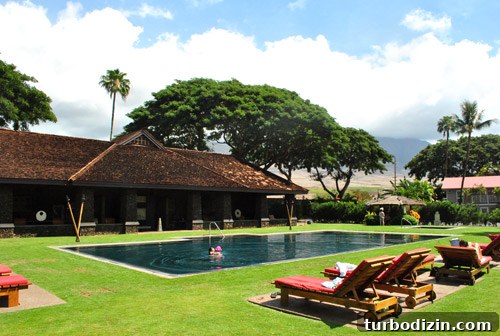 Maui with a Toddler: Practical Tips for a Smooth Family Trip 7 img 45139 6
