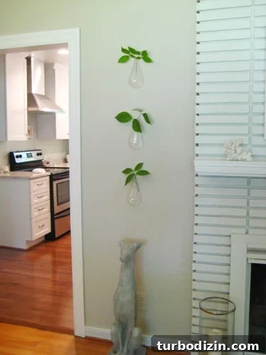 Floating Wall Vases: Stylish Mounted Flower Holders for Home Decor 2 Three floating vases hanging on wall