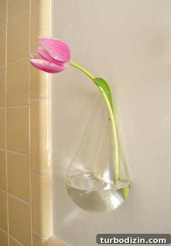 Floating Wall Vases: Stylish Mounted Flower Holders for Home Decor 5 Tulips in a floating vase