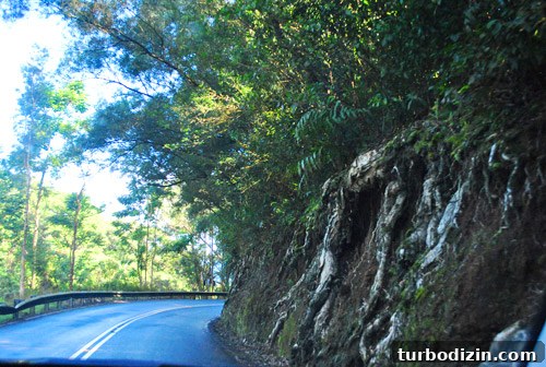 Hawaii Family Vacation: Tips, Highlights, and Itinerary Guide 4 img 45247 3