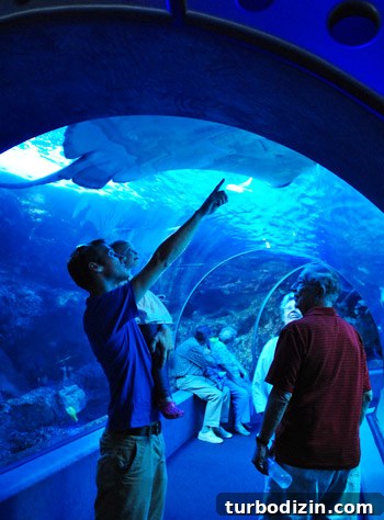 Hawaii Family Vacation: Tips, Highlights, and Itinerary Guide 16 img 45247 30