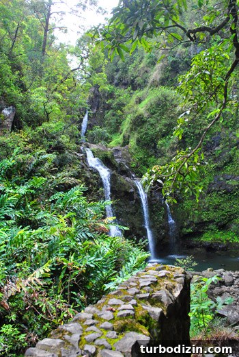 Hawaii Family Vacation: Tips, Highlights, and Itinerary Guide 5 img 45247 5