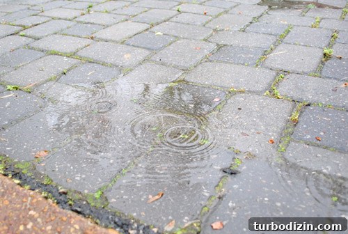 DIY Guide: Fix a Leaky Roof Fast and Prevent Future Damage 13 img 45563 13