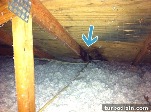 DIY Guide: Fix a Leaky Roof Fast and Prevent Future Damage 4 img 45563 3