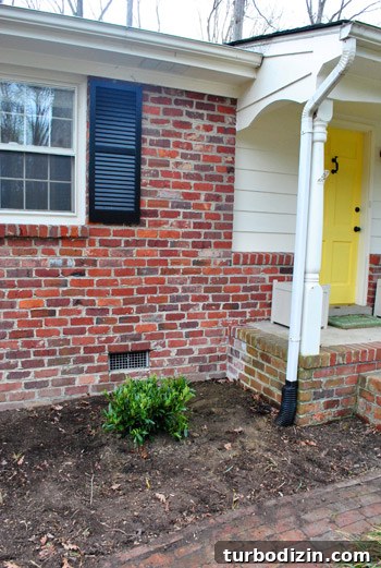 Hire a Certified Landscape Designer: What to Expect and Why It Matters 10 img 45678 10
