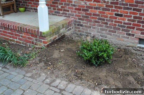 Hire a Certified Landscape Designer: What to Expect and Why It Matters 11 img 45678 11