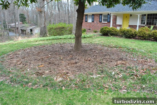 Hire a Certified Landscape Designer: What to Expect and Why It Matters 5 img 45678 5