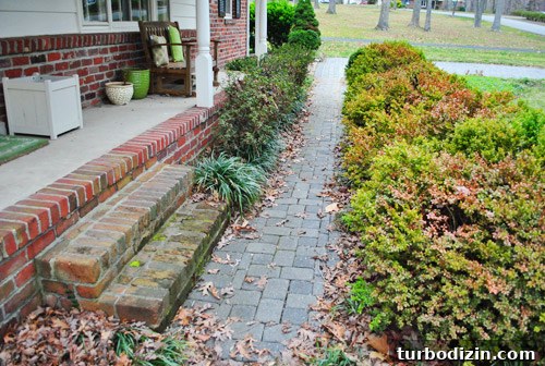 Hire a Certified Landscape Designer: What to Expect and Why It Matters 6 img 45678 6