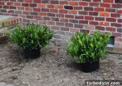Hire a Certified Landscape Designer: What to Expect and Why It Matters 9 img 45678 9