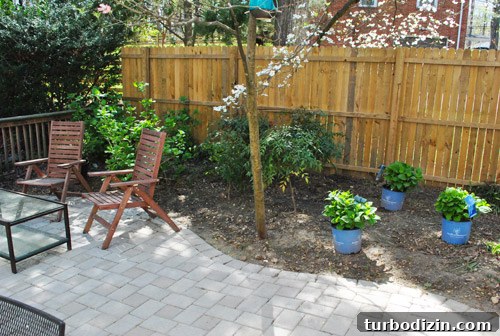How to Plant and Grow Blue Hydrangeas Successfully 14 img 45681 13