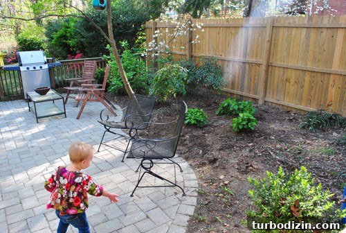 How to Plant and Grow Blue Hydrangeas Successfully 16 img 45681 15