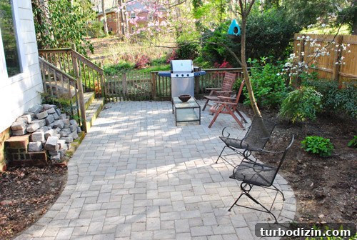 How to Plant and Grow Blue Hydrangeas Successfully 17 img 45681 16