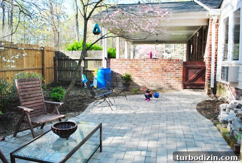How to Plant and Grow Blue Hydrangeas Successfully 19 img 45681 18