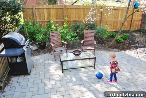 How to Plant and Grow Blue Hydrangeas Successfully 25 img 45681 24