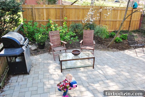 How to Plant and Grow Blue Hydrangeas Successfully 28 img 45681 27