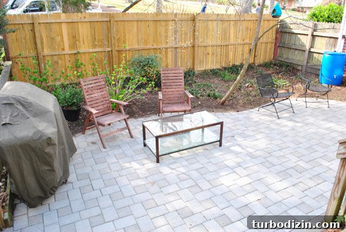 How to Plant and Grow Blue Hydrangeas Successfully 7 img 45681 6