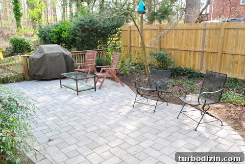 How to Plant and Grow Blue Hydrangeas Successfully 8 img 45681 7