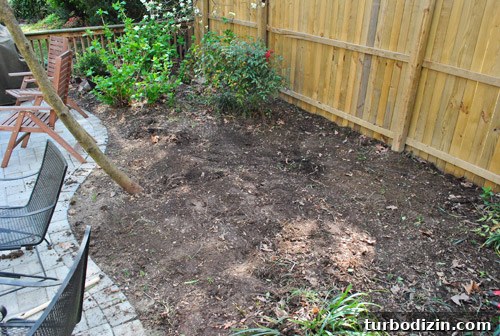 How to Plant and Grow Blue Hydrangeas Successfully 10 img 45681 9