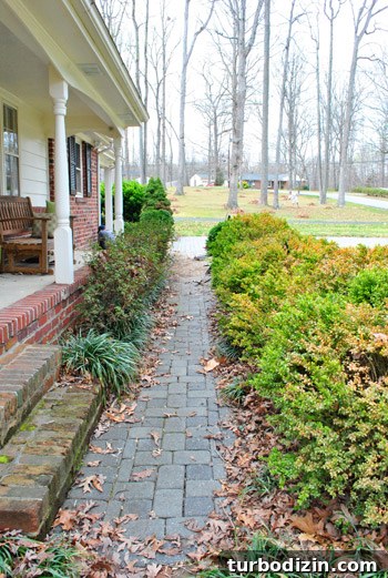 How to Clear and Maintain a Pathway to Your Front Door 15 img 45883 14