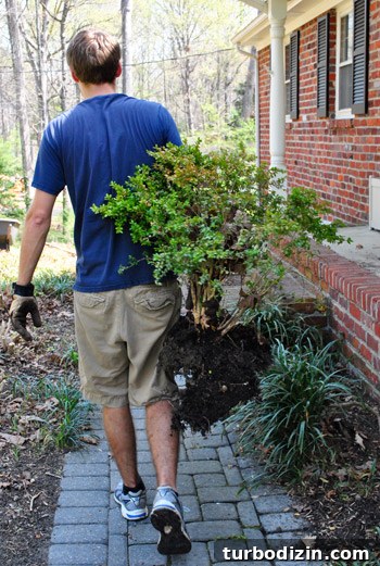 How to Clear and Maintain a Pathway to Your Front Door 8 img 45883 7