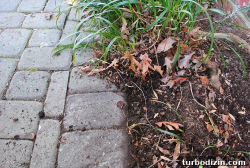 How to Clear and Maintain a Pathway to Your Front Door 9 img 45883 8