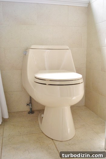 How to Replace a Toilet: Step-by-Step Guide for Homeowners 2 img 45891 1