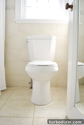 How to Replace a Toilet: Step-by-Step Guide for Homeowners 14 img 45891 13