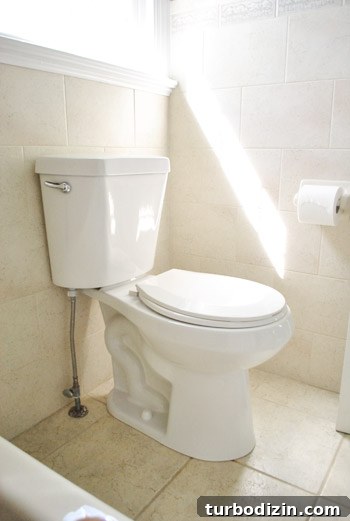 How to Replace a Toilet: Step-by-Step Guide for Homeowners 15 img 45891 14