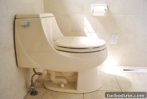 How to Replace a Toilet: Step-by-Step Guide for Homeowners 3 img 45891 2