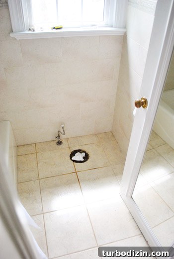 How to Replace a Toilet: Step-by-Step Guide for Homeowners 7 img 45891 6