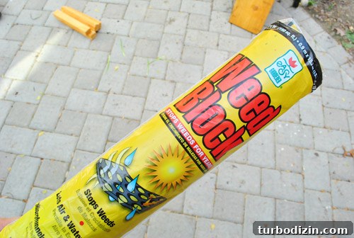 img 45894 11