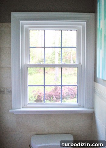 How to Apply Frosted Window Film for Privacy and Style 2 img 45995 1
