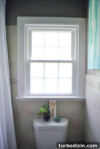 How to Apply Frosted Window Film for Privacy and Style 12 img 45995 11