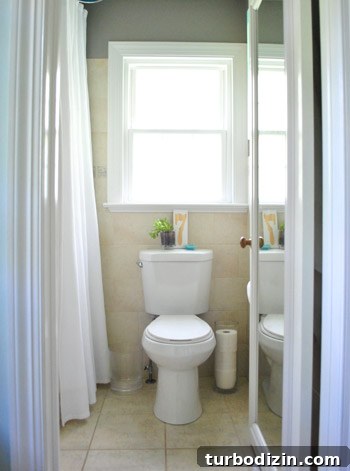 How to Apply Frosted Window Film for Privacy and Style 14 img 45995 13