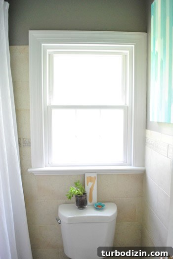 How to Apply Frosted Window Film for Privacy and Style 15 img 45995 14