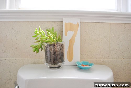 How to Apply Frosted Window Film for Privacy and Style 16 img 45995 15
