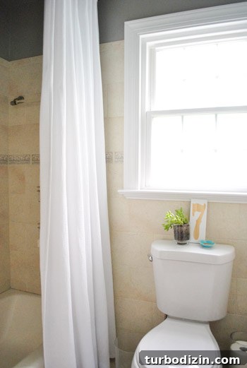 How to Apply Frosted Window Film for Privacy and Style 18 img 45995 17