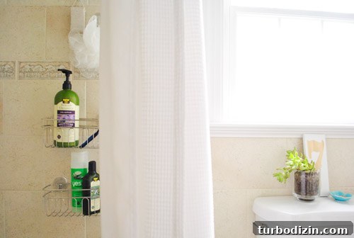 How to Apply Frosted Window Film for Privacy and Style 19 img 45995 18