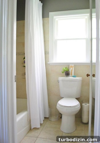 How to Apply Frosted Window Film for Privacy and Style 23 img 45995 22
