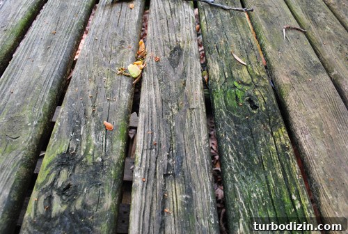 How to Plan Your New Deck: Step-by-Step Guide for Success 4 img 47039 3