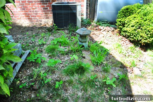 Call 811 Before Building a Deck: How to Locate Underground Utilities 8 img 47049 7