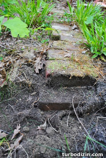 Call 811 Before Building a Deck: How to Locate Underground Utilities 10 img 47049 9