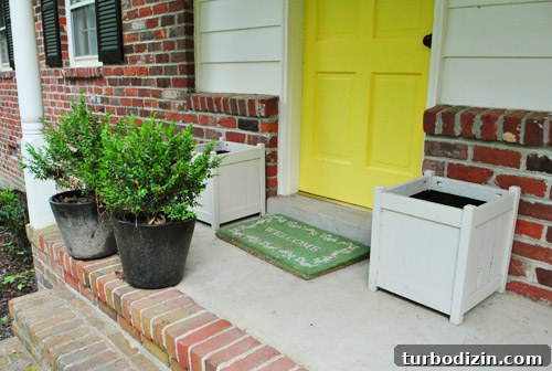 How to Plant Boxwoods, Petunias & Hydrangeas for Lush Beds 12 img 47425 12