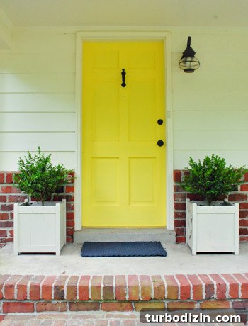 How to Plant Boxwoods, Petunias & Hydrangeas for Lush Beds 14 img 47425 14