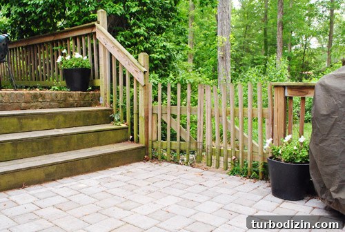 How to Plant Boxwoods, Petunias & Hydrangeas for Lush Beds 16 img 47425 16