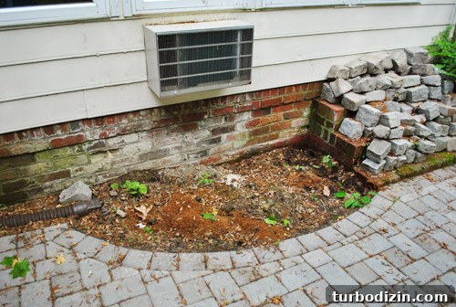 How to Plant Boxwoods, Petunias & Hydrangeas for Lush Beds 3 img 47425 2