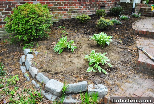 Front Yard Landscaping: Transformations & Before-and-After Ideas 11 img 47428 11